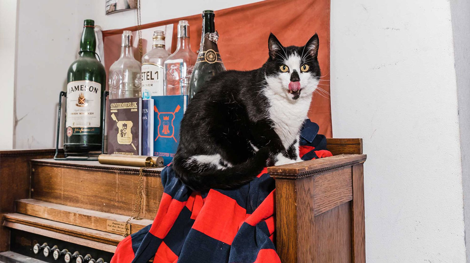 Seye Cadmus — Fotograaf